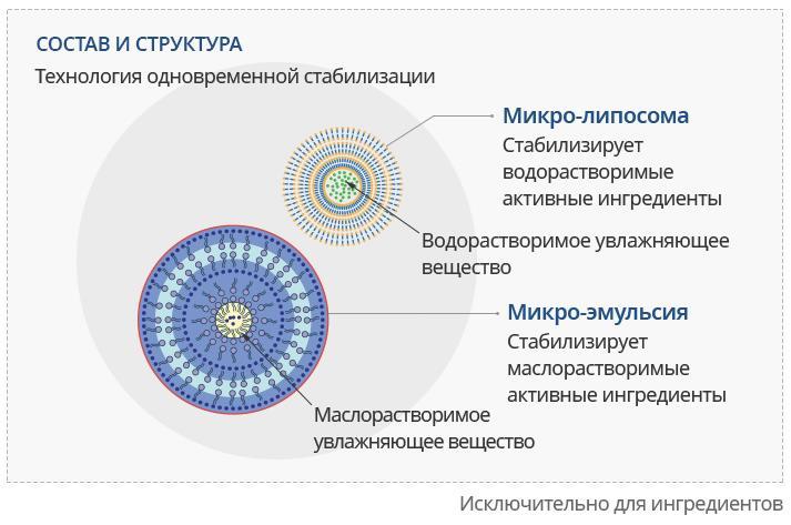 Kraken актуальное